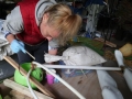 Mel Scamp applies fiberglass and resin